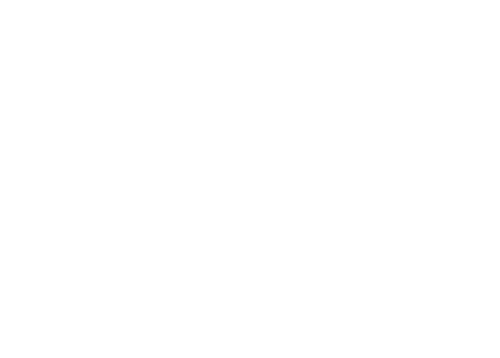 Hopeful Bridges